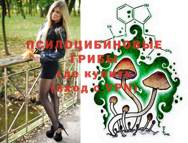 не бодяженный Михайлов